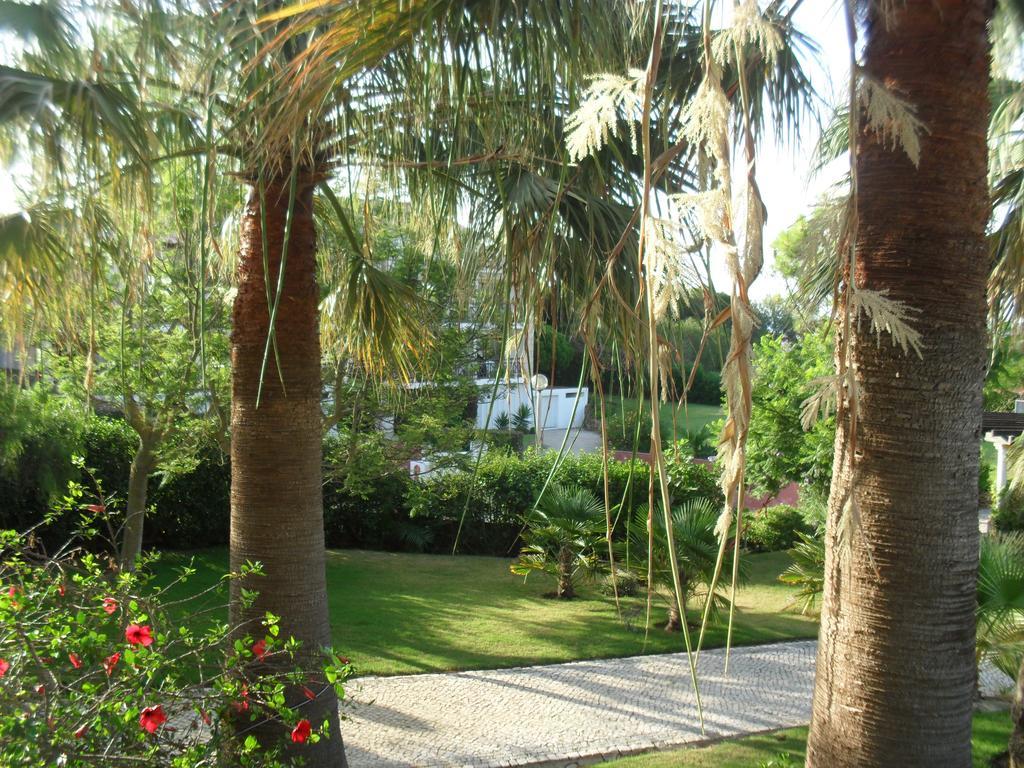 Luzmar Villas Εξωτερικό φωτογραφία
